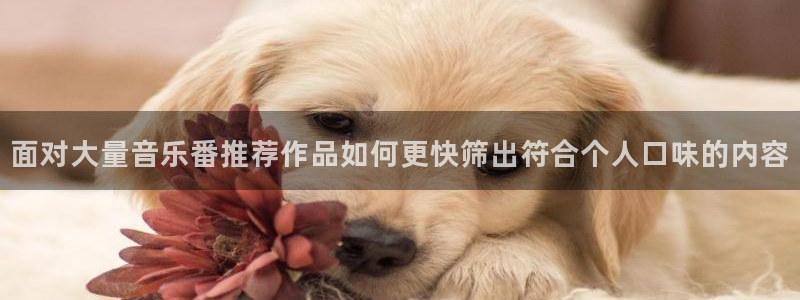 韓漫漫畫經典推薦：面對大量音樂番推薦作品如何更快篩出符合個人口味的內容配圖