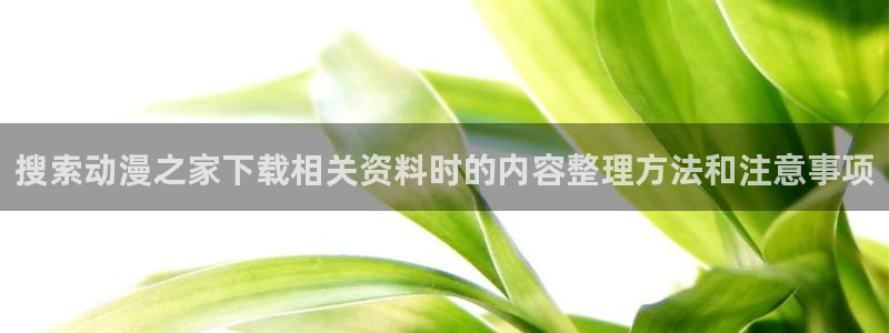 好看的韓漫漫畫：搜索動漫之家下載相關資料時的內容整理方法和注意事項配圖